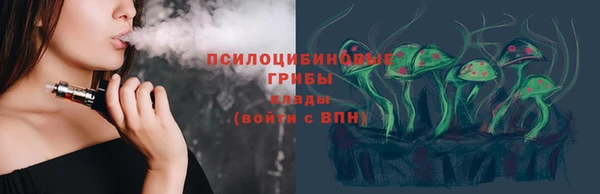 винт Инта